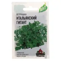 Семена Петрушка &laquo;Итальянский гигант&raquo;, 2 г, серия &laquo;ХИТ&raquo;, &laquo;Гавриш&raquo;
