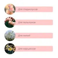 Корзина для посадки луковичных растений, круглая, d=30 см, h=8 см, чёрная