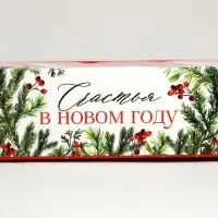 Коробка под 3 конфеты с ячейками «Счастье», 13.3 х 3.3 х 5.8 см