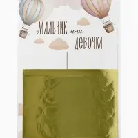 Плакат &laquo;Мальчик или девочка&raquo; с наклейками