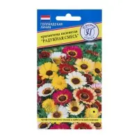 Семена цветов Хризантема Радужная Смесь РС-1, О, 0,05 г
