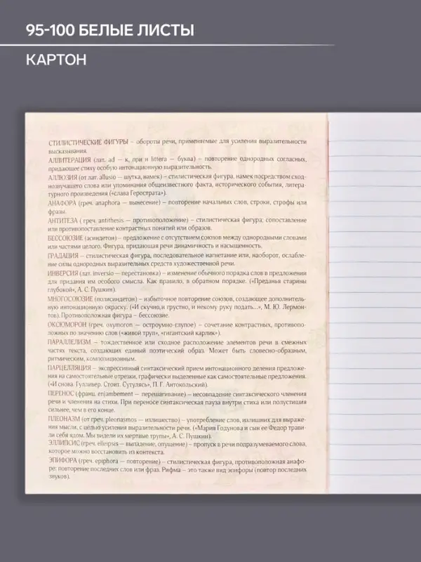 Тетрадь предметная 48 листов в линейку Calligrata &laquo;Журнал. Литература&raquo;, картонная обложка