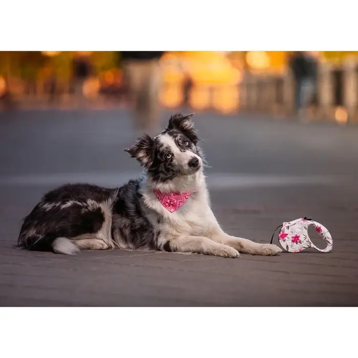 Рулетка &laquo;Салют&raquo;, 5 м, до 35 кг, принт, белая