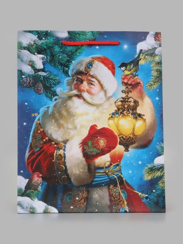 Пакет подарочный &laquo;Зимний волшебник&raquo;, 26&times;12&times;32 см
