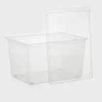 Ящик для хранения, 50 л, 53&times;38&times;30 см, с крышкой, прозрачный