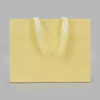 Пакет подарочный, ламинированный, горизонтальный, 32&times;25&times;11 см, сливочный