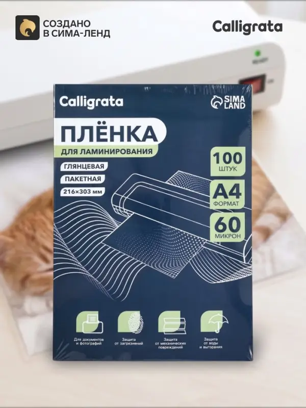 Пленка для ламинирования A4, 100 штук, глянцевая, 60 мкм, 216&times;303 мм