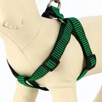 Шлейка с поводком, рельефная, 120&times;2 см, ОГ 44-50 см, зелёная, чёрная