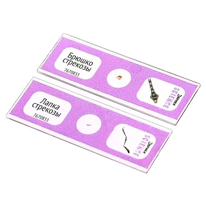 Набор для опытов &laquo;Набор микропрепаратов&raquo;, насекомые