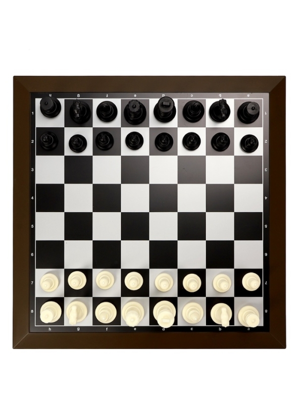 Шахматы магнитные 39 х 39 см, король h-8 см, пешка h-4.3 см Шахматы магнитные 39 х 39 см, король h-8 см, пешка h-4.3 см