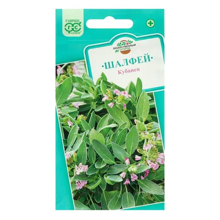 Семена Шалфей лекарственный" Кубанец", ц/п,   0,3 г