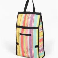 Сумка тележка хозяйственная, складная, на липучке, 2 колеса, наружный карман, 32&times;13&times;52 см, разноцветная