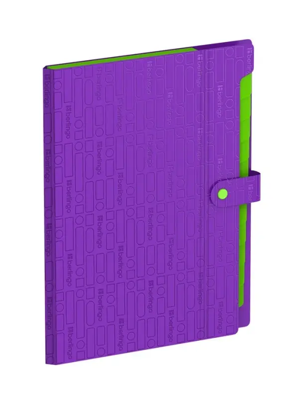 Папка А4 Your Way, 12 отделений, 600 мкм, на кнопке, фиолетовая