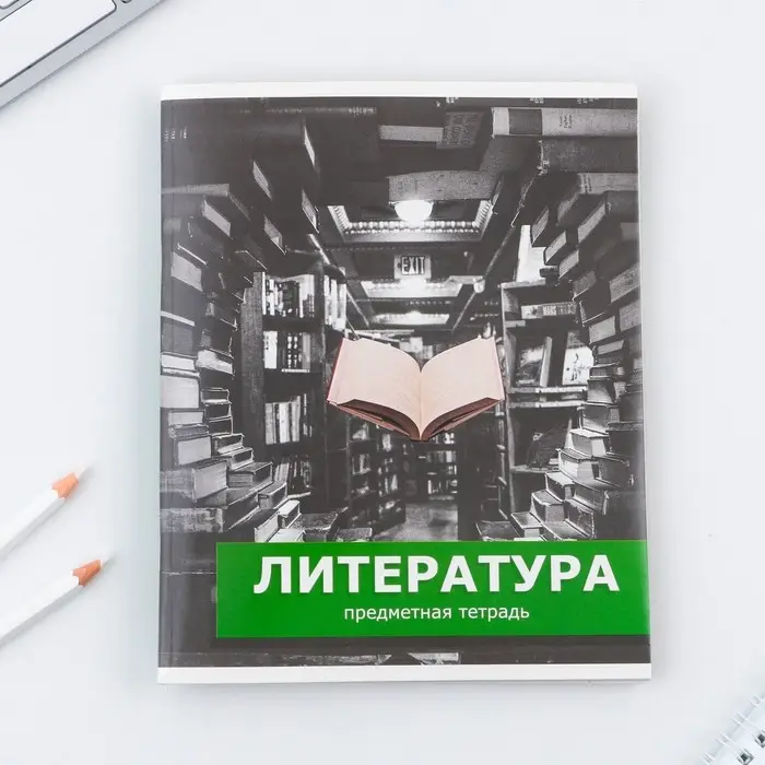 Тетрадь в линейку, предметная, 48 л.,на скрепке, А5 &laquo;ПРЕДМЕТЫ. Литература&raquo;