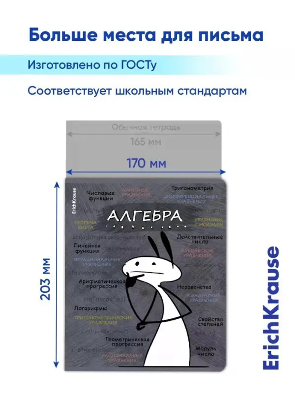 Набор предметных тетрадей ErichKrause &laquo;Чубрик&raquo;, 12 предметов, 48 листов, со справочным материалом, пластиковая обложка