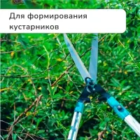 Кусторез, 31&minus;44.5" (79&minus;113 см), телескопический, с металлическими ручками, Greengo