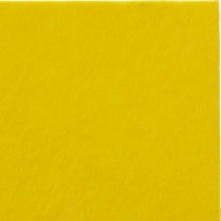 Тряпка для пола супервпитывающая BAGI 50х70см б/уп.