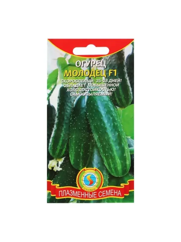 Семена Огурец Семена Огурец "Молодец", F1, 6 шт