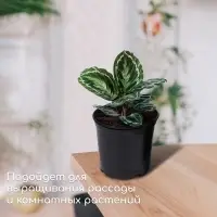Горшок для рассады, 1 л, d=13 см, h=10.5 см, чёрный, Greengo
