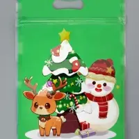 Пакет подарочный, с zip-lock застежкой, "Снеговик и его друзья", 15х22см МИКС Пакет подарочный, с zip-lock застежкой, "Снеговик и его друзья", 15х22см МИКС