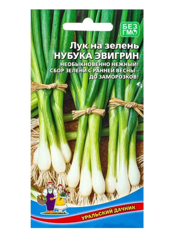 Семена Лук на зелень Нубука Эвигрин 0.25 г