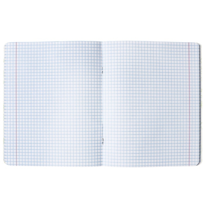 Комплект предметных тетрадей Calligrata TOP Комплект предметных тетрадей Calligrata TOP "Школьный стиль", 48 листов, 10 предметов, со справочным материалом, пластиковая обложка, блок офсет