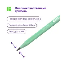 Карандаш чернографитный Berlingo Flexy Pastel HB, с ластиком, заточенный, МИКС