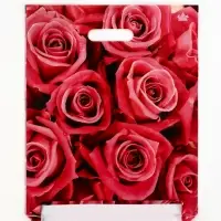 Пакет "Джейми", полиэтиленовый с вырубной ручкой, л 40х31 см, 60 мкм Пакет "Джейми", полиэтиленовый с вырубной ручкой, л 40х31 см, 60 мкм