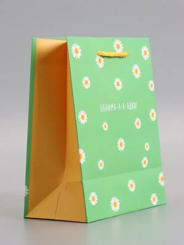 Пакет подарочный "Ромашки - обнимашки" ламинированный 18 х 22,3 х 10 см