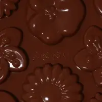 Форма для шоколада Доляна &laquo;Цветение&raquo;, силикон, 21&times;10.5&times;0.7 см, 12 ячеек, коричневая