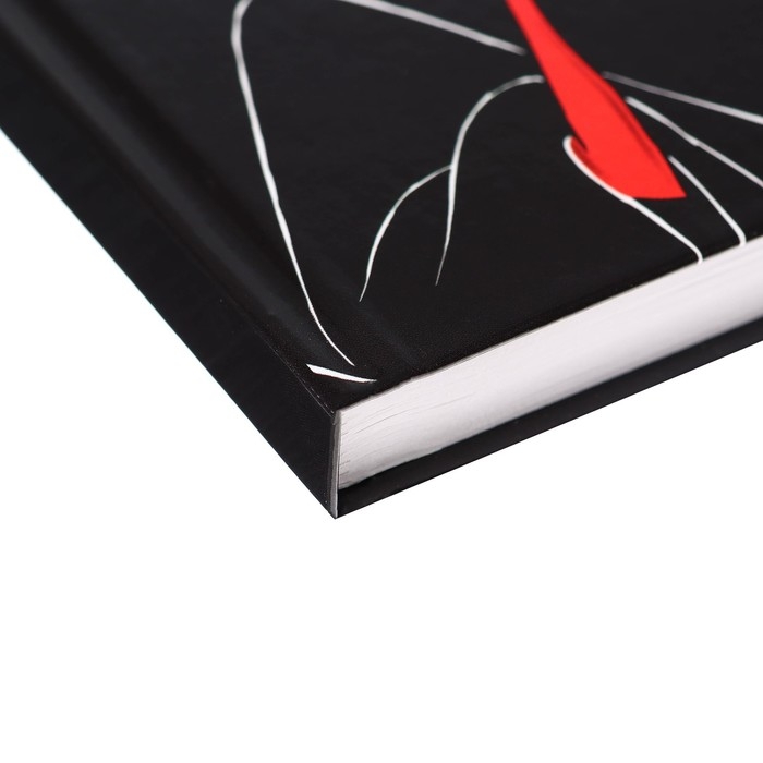 Ежедневник А5, 160 листов, I&rsquo;m very busy, Villians