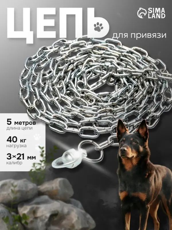 Цепь для привязи собак, 5 м, калибр 3&times;21 мм, белая