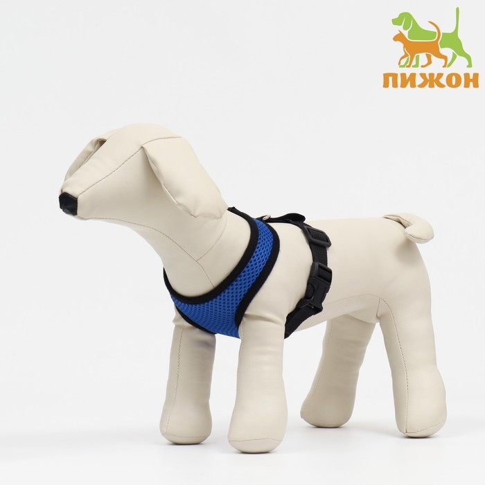 Шлейка мягкая из неопрена, размер XL, ОШ 42 см, ОГ 38-50 см, синяя Шлейка мягкая из неопрена, размер XL, ОШ 42 см, ОГ 38-50 см, синяя