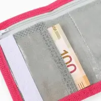 Кошелек детский на липучке &laquo;Холодное сердце&raquo; розовый 9&times;9&times;1