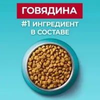 Сухой корм ONE для кошек, говядина с цельными злаками, 750 г