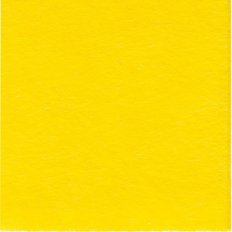 Салфетки хозяйственные вискозные Paclan Soft Universal 30х40см 10шт/уп