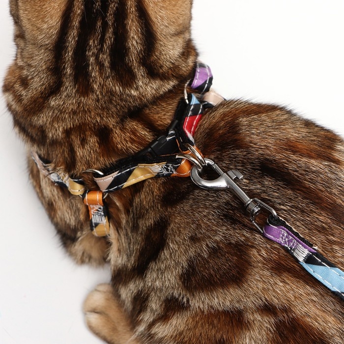 Комплект амуниции двухслойный, S, поводок 120х1 см,ОШ 24-38 ОГ 29-41 см, разноцветные полосы 96837 Комплект амуниции двухслойный, S, поводок 120х1 см,ОШ 24-38 ОГ 29-41 см, разноцветные полосы 96837