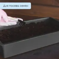Ящик для рассады, 36 × 14 × 9 см, 3 л, пластик, чёрный