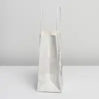 Пакет подарочный новогодний крафтовый «С Новым годом!», 12 х 21 х 9 см Пакет подарочный новогодний крафтовый «С Новым годом!», 12 х 21 х 9 см