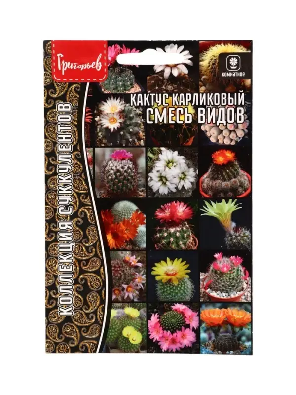 Семена цветов Кактус Смесь Видов карликовый  3шт. / НОВИНКА  12.29 г.