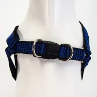 Шлейка с поводком, ОГ 36-49 см, ширина 1.5 см, поводок 120 см, рельефная, сине-чёрная