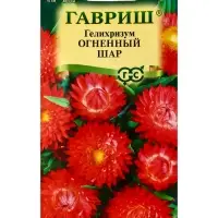 Семена цветов Гелихризум Огненный шар* 0,1 г