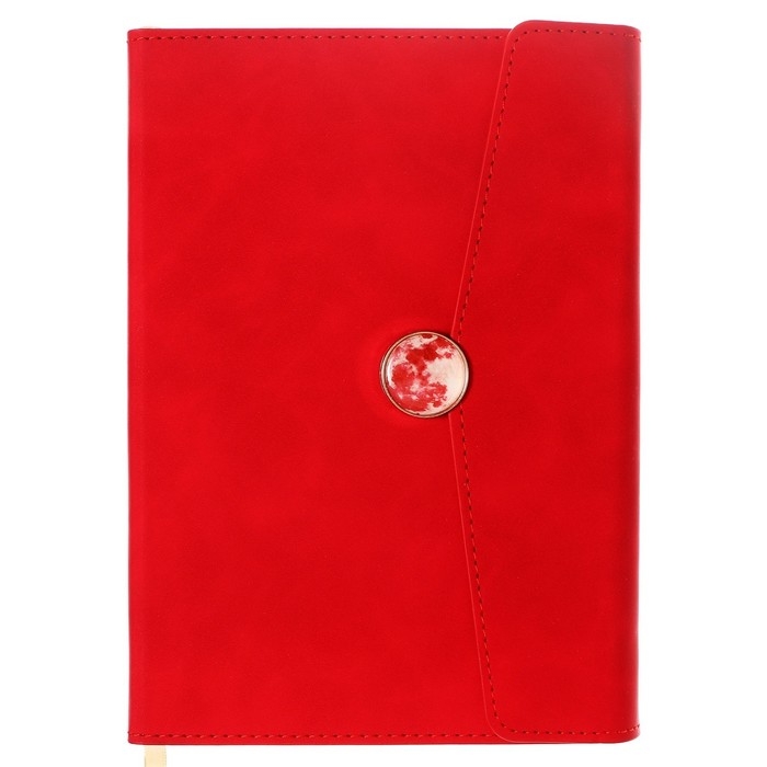 Органайзер на кольцах А6+, 80 листов, кожзам, c клапаном, линия, с ручкой, в подарочной коробке, красный Органайзер на кольцах А6+, 80 листов, кожзам, c клапаном, линия, с ручкой, в подарочной коробке, красный