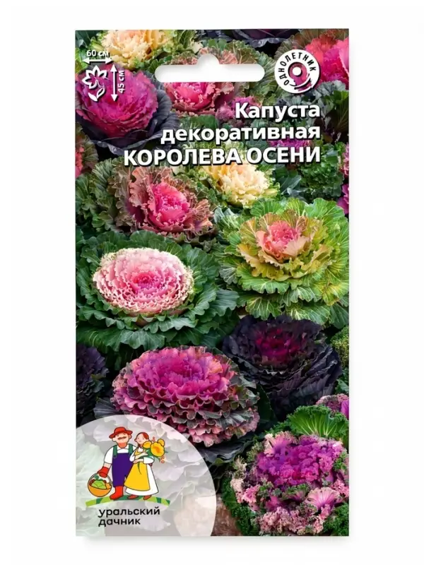 Семена Цветов Капуста декоративная &laquo;Королева осени&raquo; смесь, 0,1 г