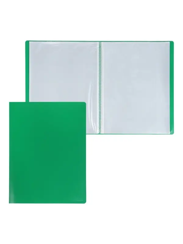 Папка с 60 вкладышами А4, 500 мкм, Calligrata, текстура &laquo;песок&raquo;, зелёная