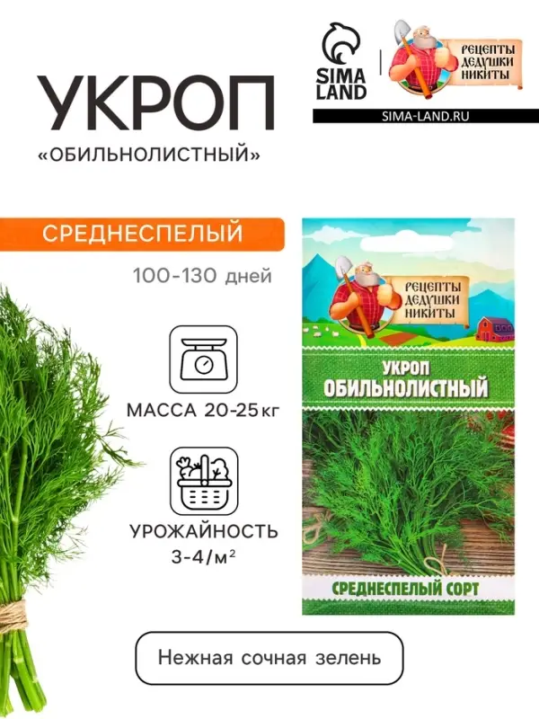 Семена Укроп &laquo;Обильнолистный&raquo;, 2 г, &laquo;Рецепты дедушки Никиты&raquo;