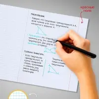 Комплект тетрадей из 10 штук, 18 листов в клетку Calligrata "Еноты", обложка мелованный картон, ВД-лак, блок офсет, 5 видов по 2 штуки