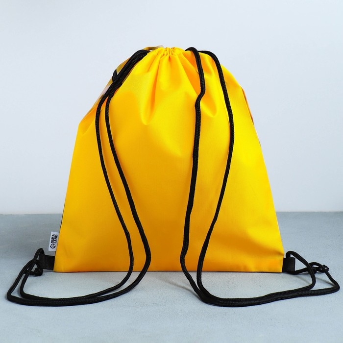 Мешок для обуви «Забавный корги» 2 секции, 30×40 см Мешок для обуви «Забавный корги» 2 секции, 30×40 см