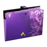 Папка А4 Flower Art, 5 отделений, 600 мкм, на кнопке, с рисунком