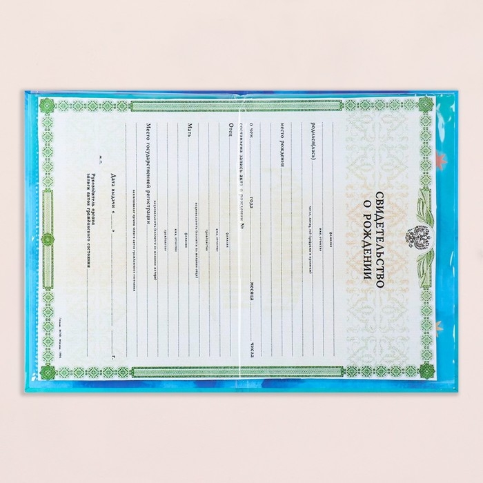 Свидетельство о рождении Свидетельство о рождении "Дельфины" тиснение, А5